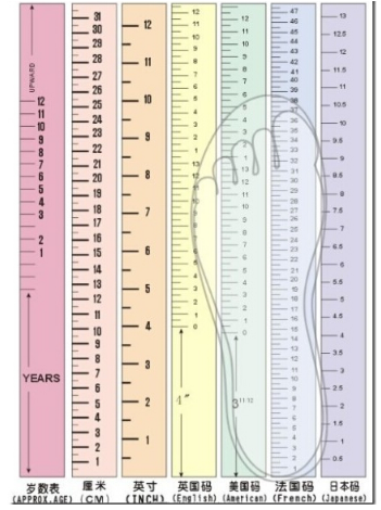 海淘鞋子尺码