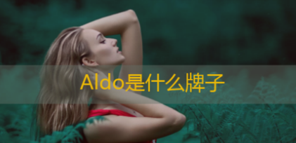 aldo品牌