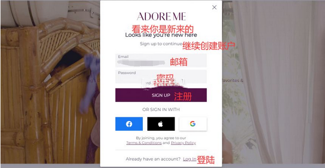 Adore Me美國官網(wǎng)女性貼身衣物海淘攻略教程