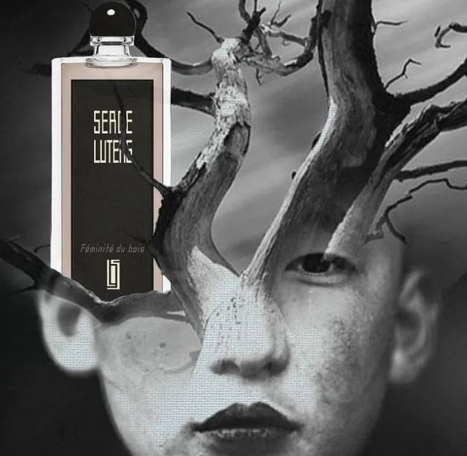Serge Lutens芦丹氏海淘值得购买的12款香水