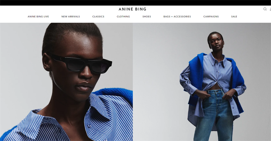 来自美国洛杉矶的时尚品牌anine bing~， anine bing品牌介绍